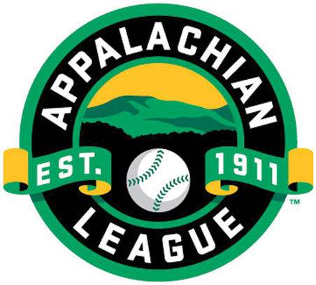 Appalachian League 2016-2019 Primary Logo iron on transfers for clothing